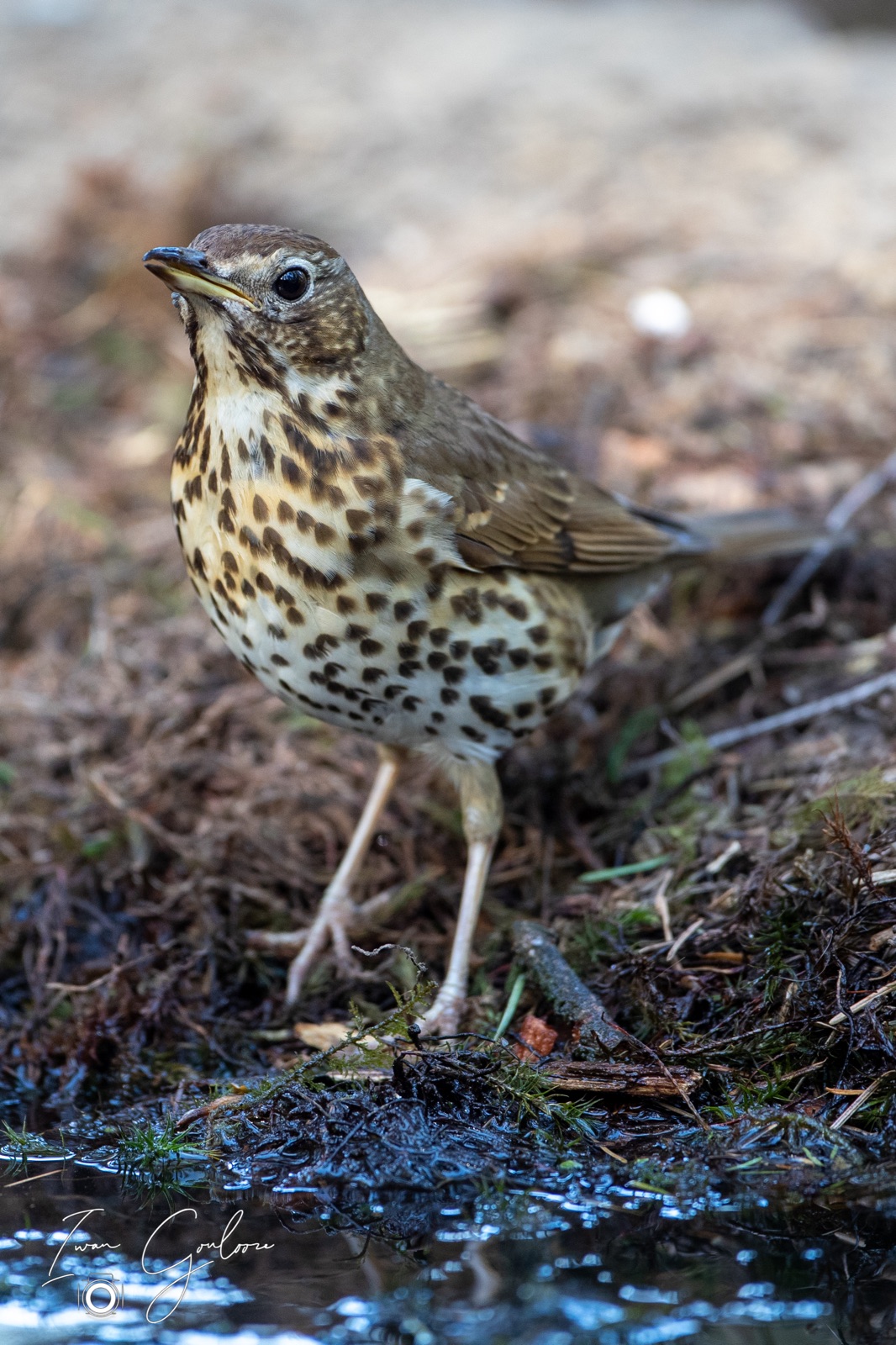 08 mei 2022 180405 1DX42822